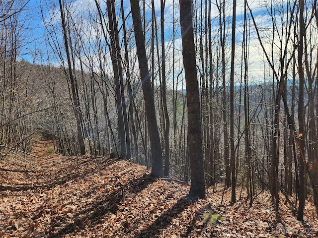 6900 Mertie Rd, Millers Creek, NC 28651