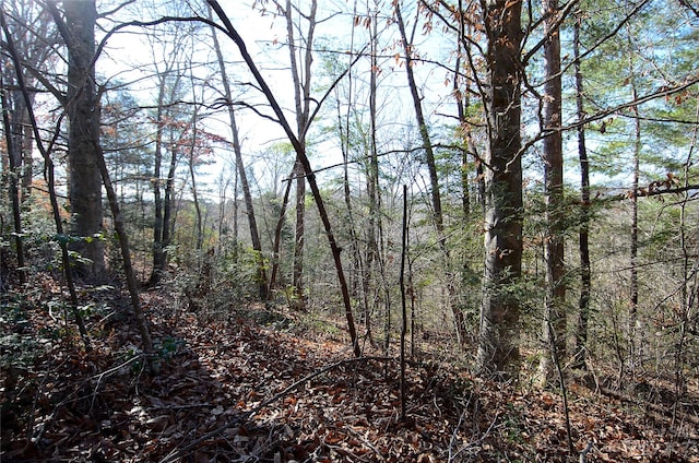 0 Wildwood Mountain Ln Unit 8, Marion NC, 28752 land for sale