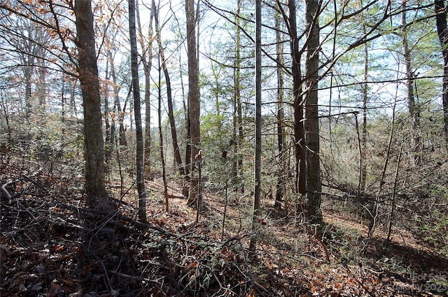 Listing photo 2 for 0 Wildwood Mountain Ln Unit 8, Marion NC 28752