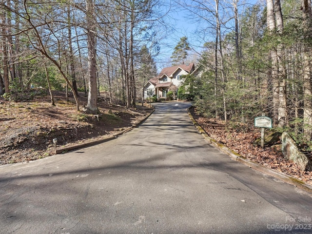 136 Rumbling Bald Rd, Lake Lure, NC 28746 - photo 20