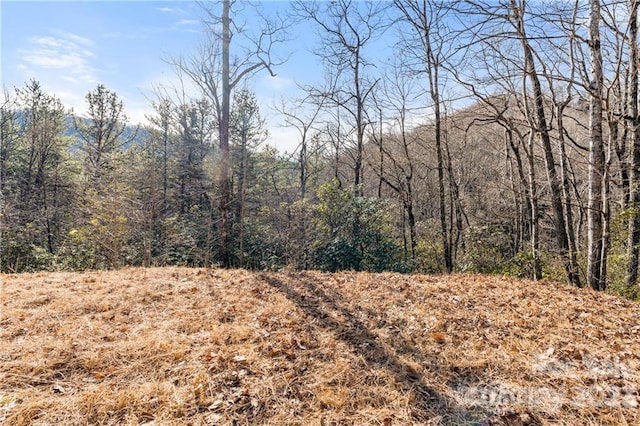 28 Trillium Ln Unit C-1, Black Mountain NC, 28711 land for sale