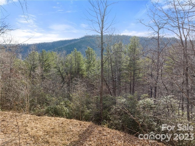 Listing photo 2 for 28 Trillium Ln Unit C-1, Black Mountain NC 28711