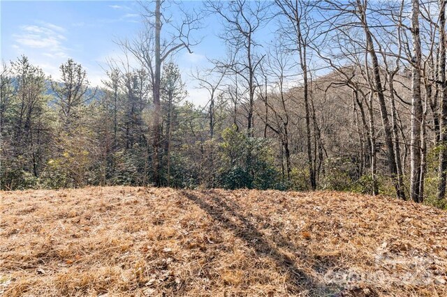 28 Trillium Ln Unit C-1, Black Mountain, NC 28711 - photo 2