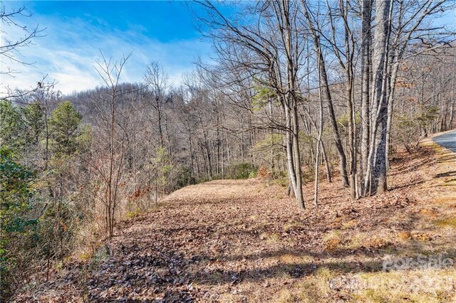 28 Trillium Ln Unit C-1, Black Mountain, NC 28711 - photo 3
