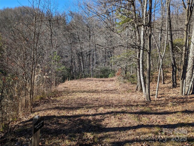 28 Trillium Ln Unit C-1, Black Mountain, NC 28711 - photo 4