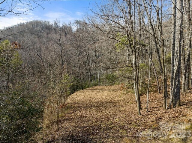 28 Trillium Ln Unit C-1, Black Mountain, NC 28711 - photo 5