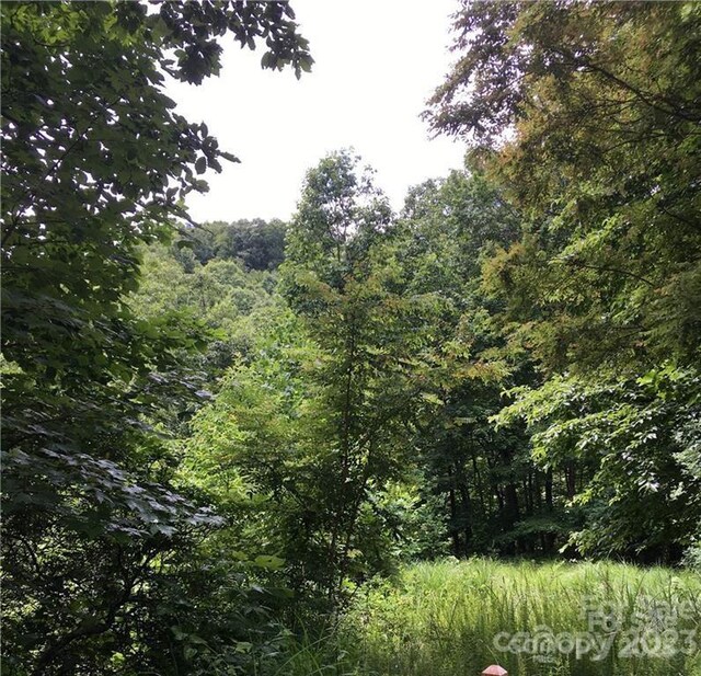 28 Trillium Ln Unit C-1, Black Mountain, NC 28711 - photo 6
