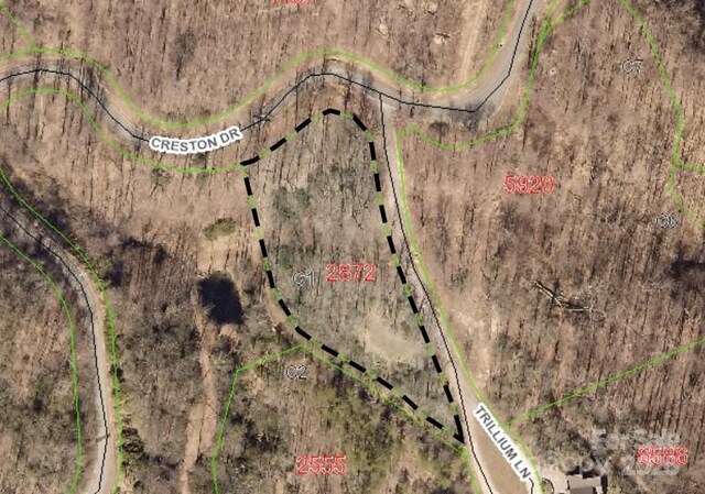 28 Trillium Ln Unit C-1, Black Mountain, NC 28711 - photo 8