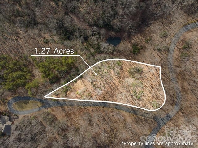28 Trillium Ln Unit C-1, Black Mountain, NC 28711 - photo 9