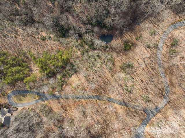28 Trillium Ln Unit C-1, Black Mountain, NC 28711 - photo 10