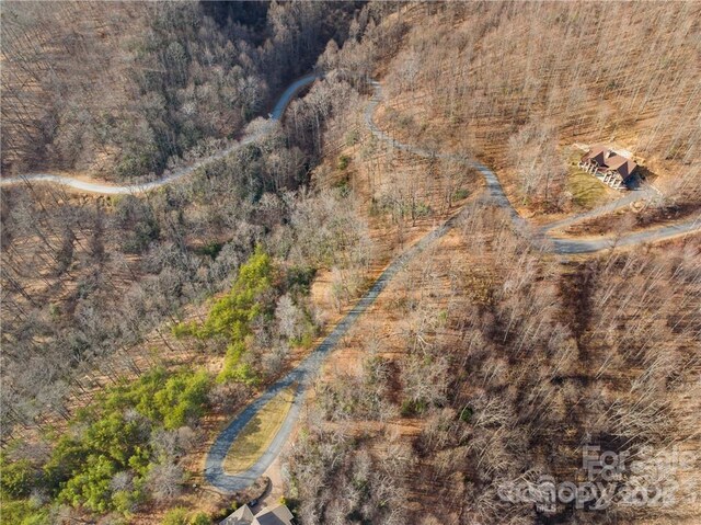 28 Trillium Ln Unit C-1, Black Mountain, NC 28711 - photo 11