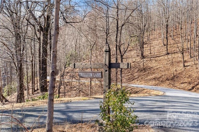 28 Trillium Ln Unit C-1, Black Mountain, NC 28711 - photo 12