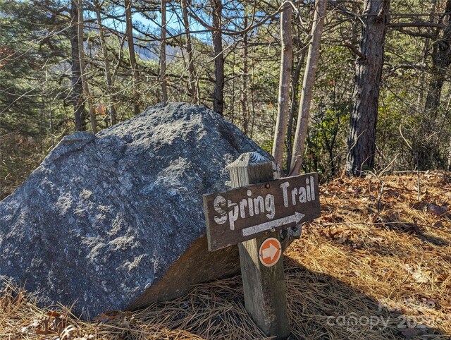 28 Trillium Ln Unit C-1, Black Mountain, NC 28711 - photo 13