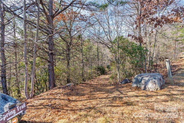 28 Trillium Ln Unit C-1, Black Mountain, NC 28711 - photo 14