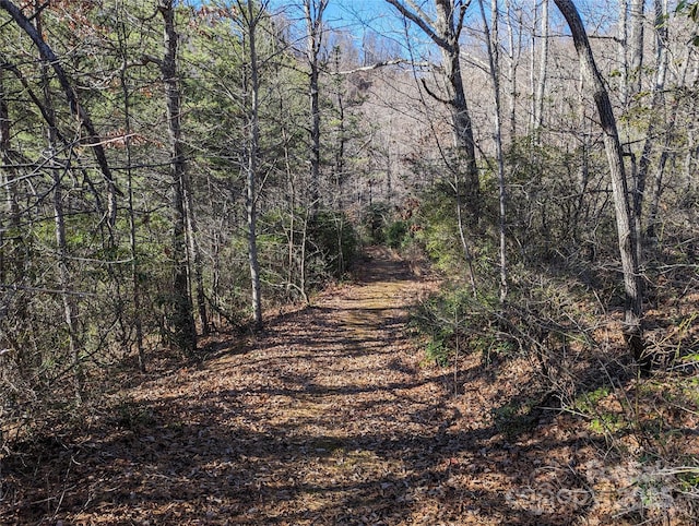 28 Trillium Ln Unit C-1, Black Mountain, NC 28711 - photo 15