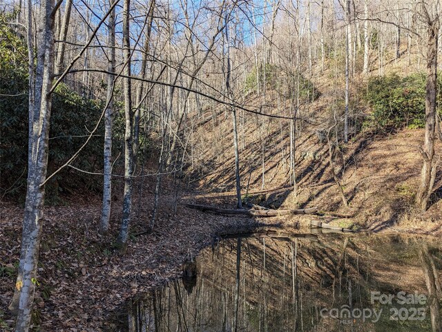 28 Trillium Ln Unit C-1, Black Mountain, NC 28711 - photo 16