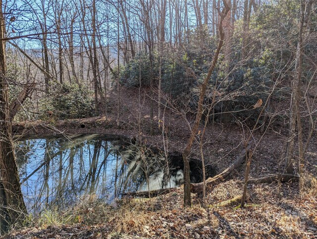 28 Trillium Ln Unit C-1, Black Mountain, NC 28711 - photo 17