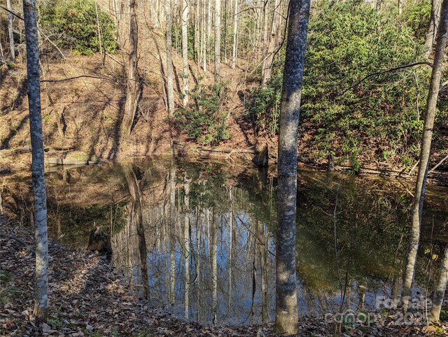 28 Trillium Ln Unit C-1, Black Mountain, NC 28711 - photo 18
