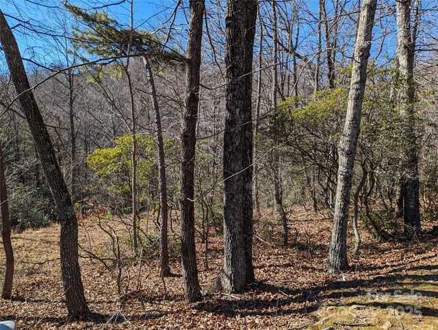 28 Trillium Ln Unit C-1, Black Mountain, NC 28711 - photo 19