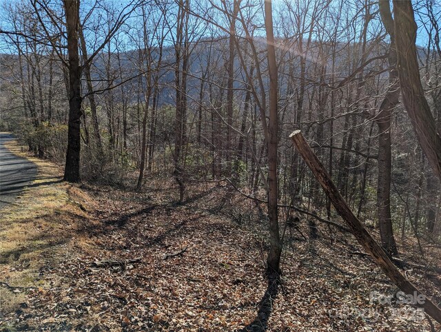 28 Trillium Ln Unit C-1, Black Mountain, NC 28711 - photo 20