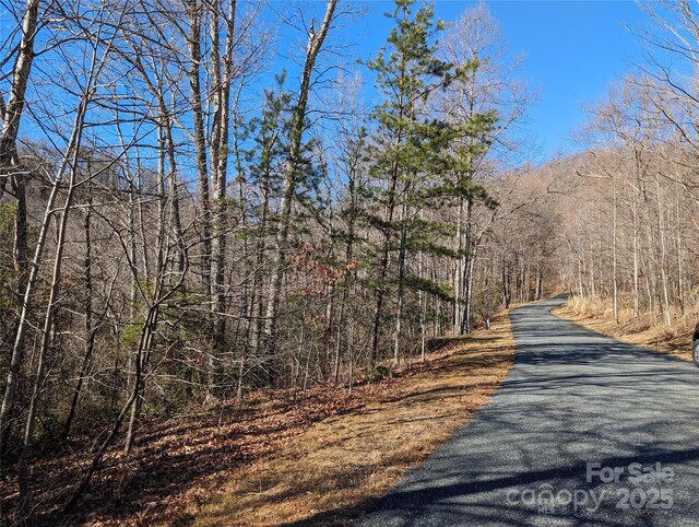 28 Trillium Ln Unit C-1, Black Mountain, NC 28711 - photo 22