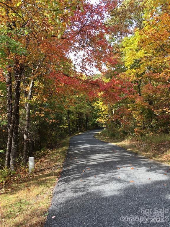 28 Trillium Ln Unit C-1, Black Mountain, NC 28711 - photo 23