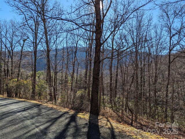 28 Trillium Ln Unit C-1, Black Mountain, NC 28711 - photo 24