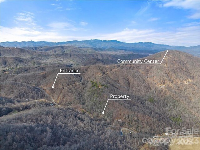 28 Trillium Ln Unit C-1, Black Mountain, NC 28711 - photo 25