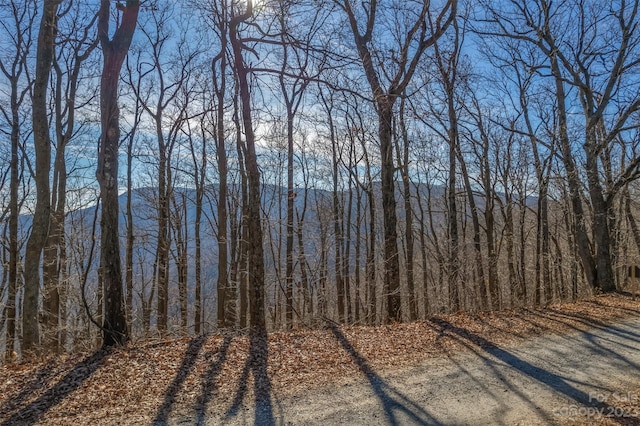 Listing photo 3 for LOT308 Summit Rd, Tryon NC 28782