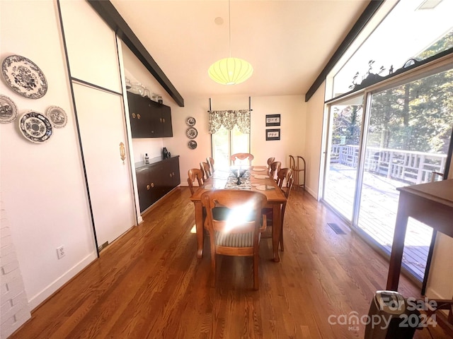 dining room featuring dark hardwood / wood-style flooring and a healthy amount of sunlight