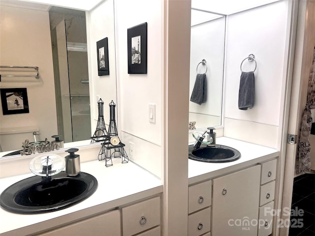 full bathroom with toilet, vanity, and a shower with shower curtain