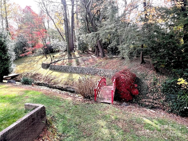 view of yard featuring stairs