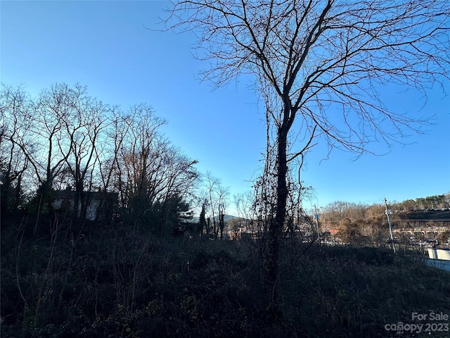 000 Burton St Unit 2, 3, 5, 6, 7, Asheville, NC 28806