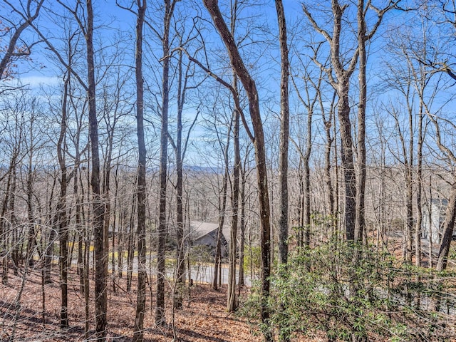 Listing photo 2 for TBD Cheestoonaya Way Unit 61-A/7, Brevard NC 28712