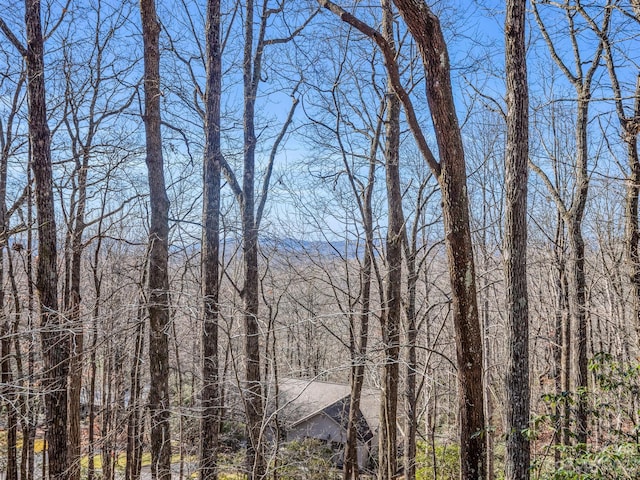 Listing photo 3 for TBD Cheestoonaya Way Unit 61-A/7, Brevard NC 28712