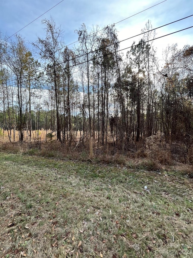 116 Trade Mill Ct, Winnsboro, SC 29180 - photo 2