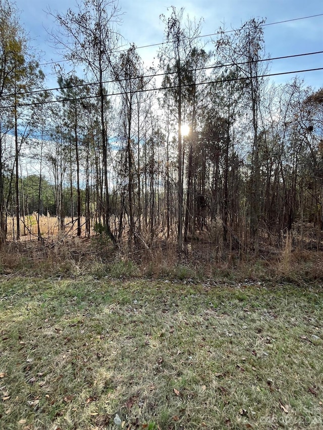116 Trade Mill Ct, Winnsboro, SC 29180 - photo 3