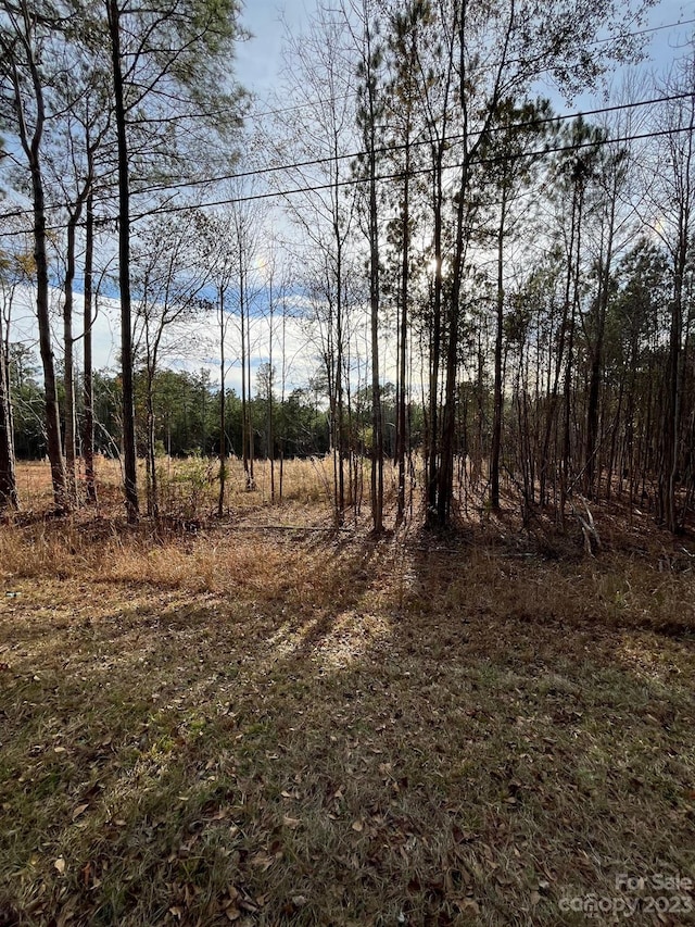 116 Trade Mill Ct, Winnsboro, SC 29180 - photo 4
