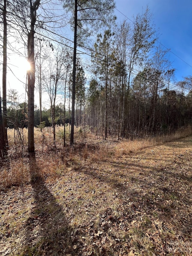 116 Trade Mill Ct, Winnsboro, SC 29180 - photo 6