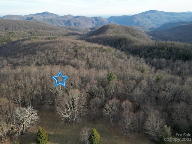 TBD Little Pisgah Rd, Fairview, NC 28730 - photo 1