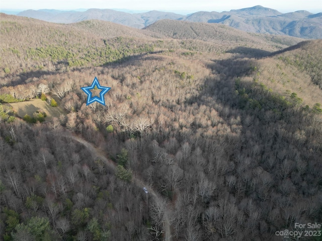 TBD Little Pisgah Rd, Fairview, NC 28730 - photo 3