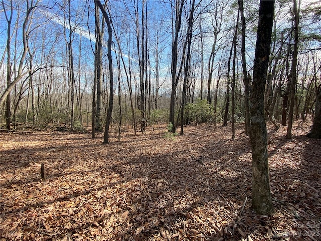 TBD Little Pisgah Rd, Fairview, NC 28730 - photo 4