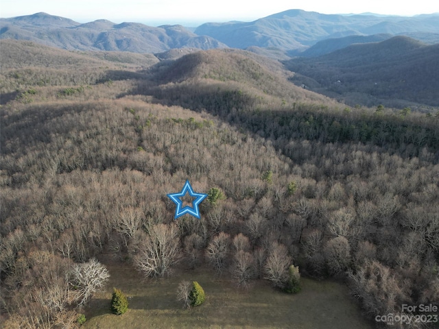 TBD Little Pisgah Rd, Fairview, NC 28730 - photo 5