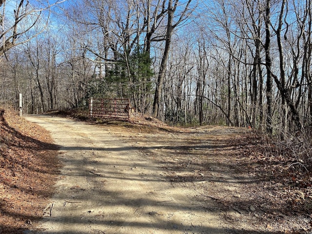 TBD Little Pisgah Rd, Fairview, NC 28730 - photo 6
