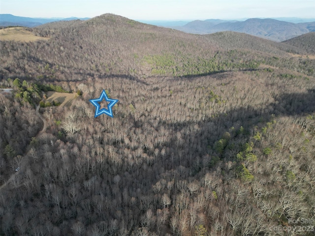 TBD Little Pisgah Rd, Fairview, NC 28730 - photo 7