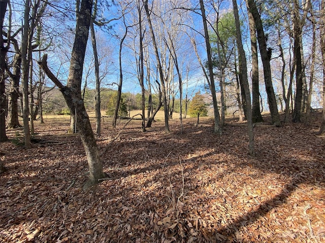 TBD Little Pisgah Rd, Fairview, NC 28730 - photo 8
