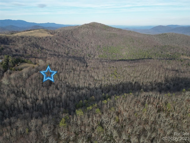 TBD Little Pisgah Rd, Fairview, NC 28730 - photo 9