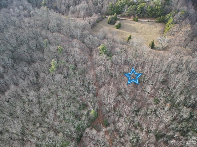 TBD Little Pisgah Rd, Fairview, NC 28730 - photo 10