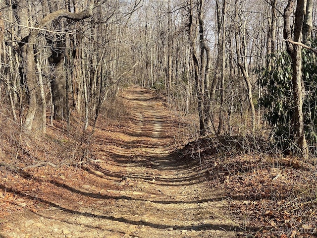TBD Little Pisgah Rd, Fairview, NC 28730 - photo 11