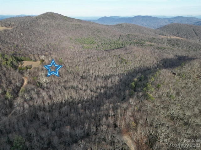 TBD Little Pisgah Rd, Fairview, NC 28730 - photo 13